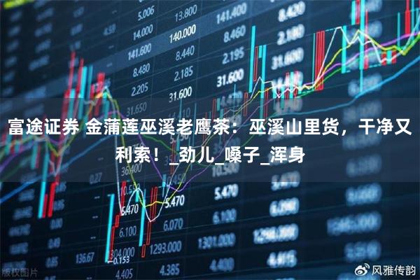 富途证券 金蒲莲巫溪老鹰茶：巫溪山里货，干净又利索！_劲儿_嗓子_浑身