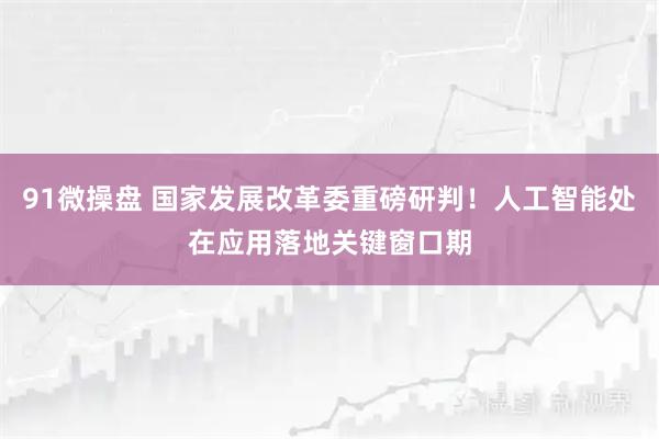 91微操盘 国家发展改革委重磅研判!人工智能处在应用落地关键窗口期